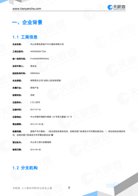 中山市雅佳房地产中介服务企业信用报告-天眼查