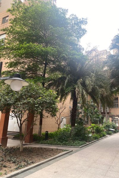 金河水岸一区优点 不足,金河水岸一区怎么样,金河水岸一区周边房产中介经纪人评价 佛山安居客