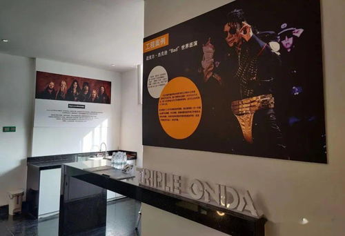 天奥音响 以高品质产品与服务赋能中山房地产中介致胜千里