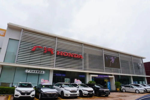 中山车主因购置税优惠缩水退定，房地产中介服务引关注